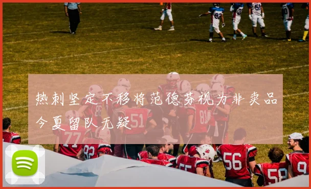 热刺坚定不移将范德芬视为非卖品今夏留队无疑