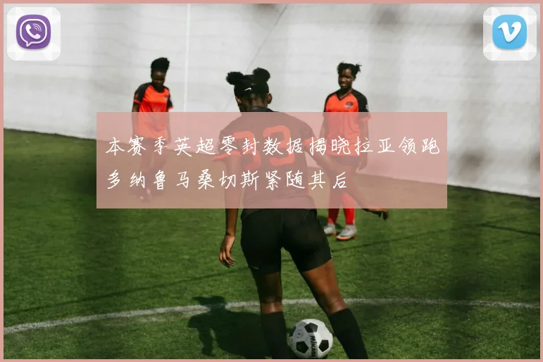 本赛季英超零封数据揭晓拉亚领跑多纳鲁马桑切斯紧随其后